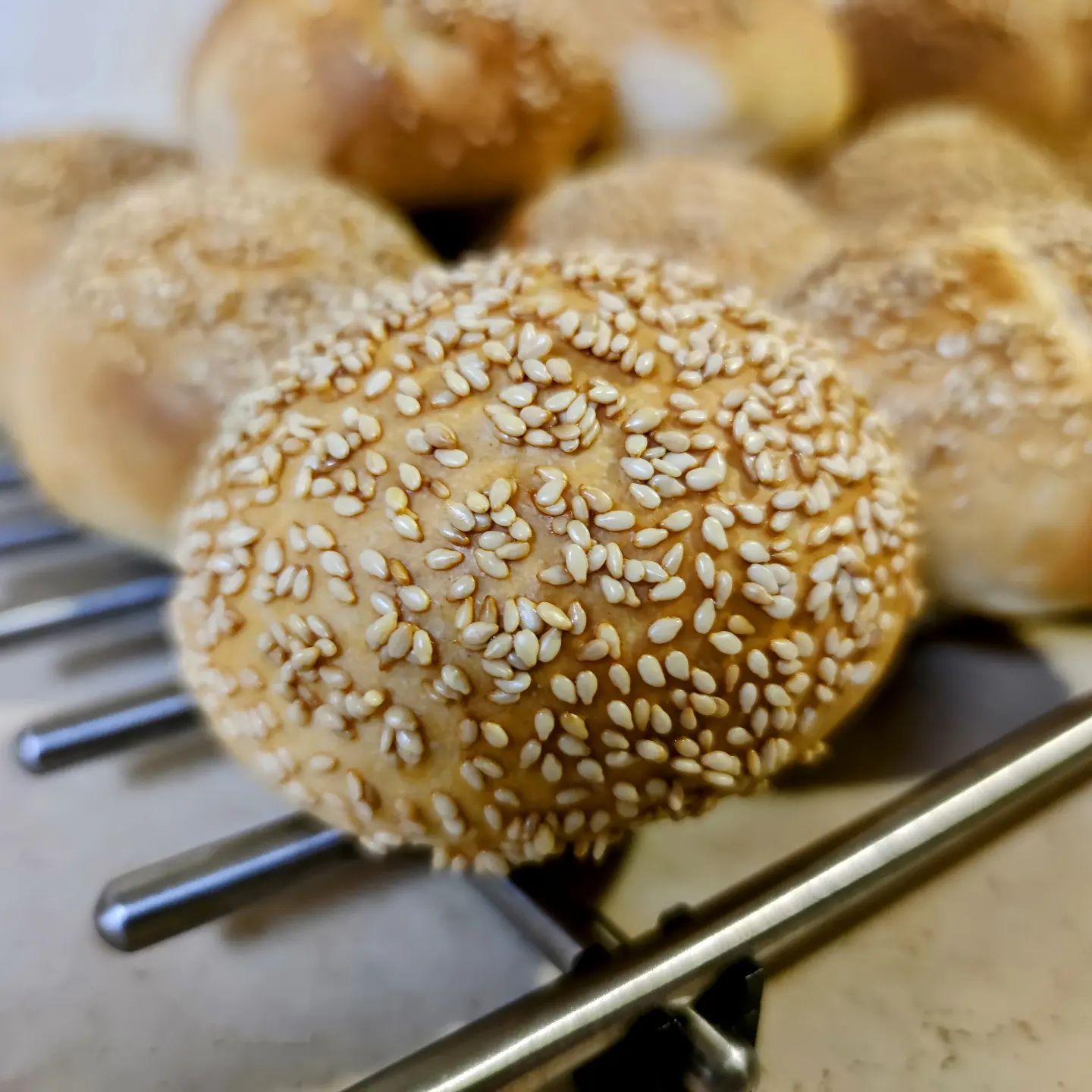 PANINI PER HAMBURGER: I BURGER BUNS

Ciao belli, pronti per i pic-nic e le gite fuori porta???

Noi abbiamo appena sfornato  i nostri fantastici BURGER BUNS🍔🍔🍔 che guarniremo con ripieno ispirato al "panino cegliese" per un fantastico aperitivo in giardino 😋

Mi raccomando postate le foto📷 dei vostri magnifici buns sul gruppo! 

____________________________

LA RICETTA dei BURGER BUNS📝 È SUL NOSTRO SITO :
 http://www.elleincucina.it/2021/01/panini-per-hamburger-i-burger-buns.html 🌈❤️👆

____________________________

Buon appetito :) 🌈❤️

#hamburger #paninocegliese #buns  #campomarinodimaruggio #food #ilovekitchen #comeinpuglia #wheninpuglia #tripsalento #thisiswhyimfat #burgerlover #homemade #maruggio #instafoodgram #instagram #foodporn #ilovefood #ilovecucina #pugliagram #salento #campomarinodimaruggio #chefincamicia